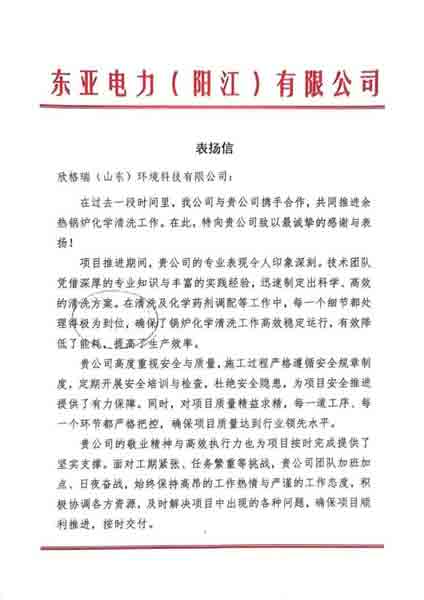 攜手共贏·匠心服務(wù)再獲認(rèn)可 ——欣格瑞公司承接的東亞電力（陽江）余熱鍋爐化學(xué)清洗項(xiàng)目獲客戶表揚(yáng)